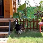 Denizimapartbungalov Διαμέρισμα *