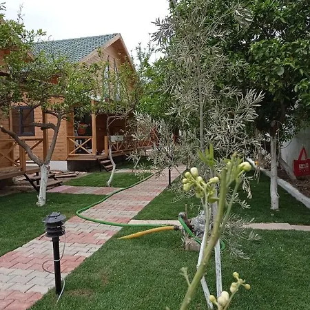 Denizimapartbungalov דמרה