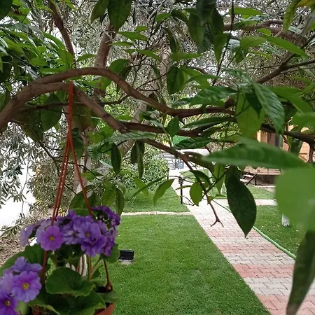 Apartment Denizimapartbungalov