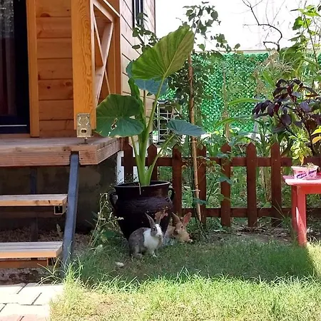 Denizimapartbungalov 公寓 *