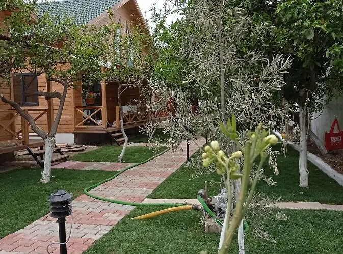 Denizimapartbungalov 代姆雷
